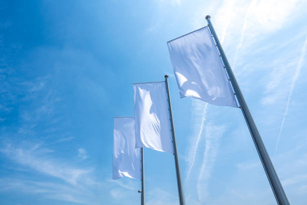 Twin Cities Flag Source Image