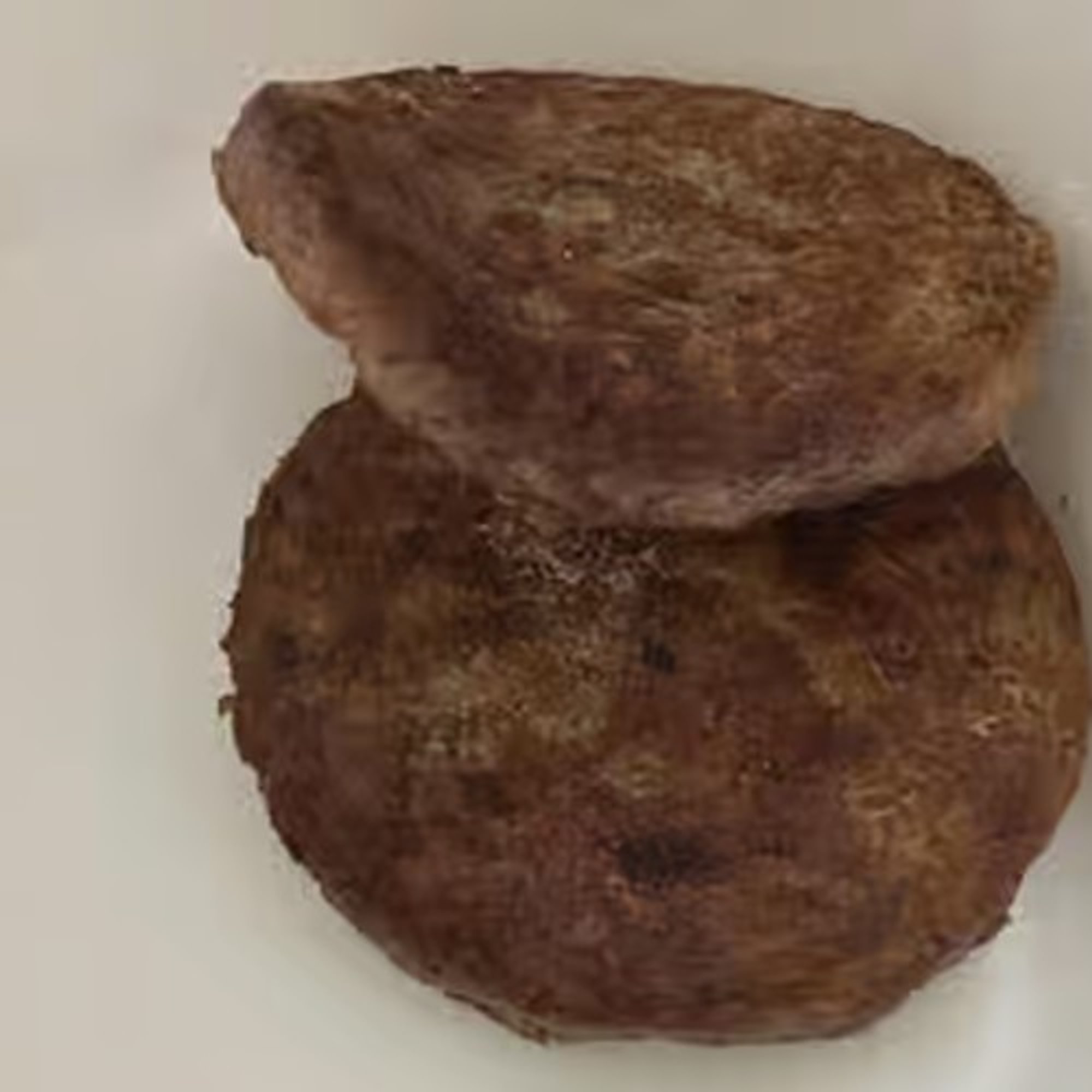 Sausage Patties