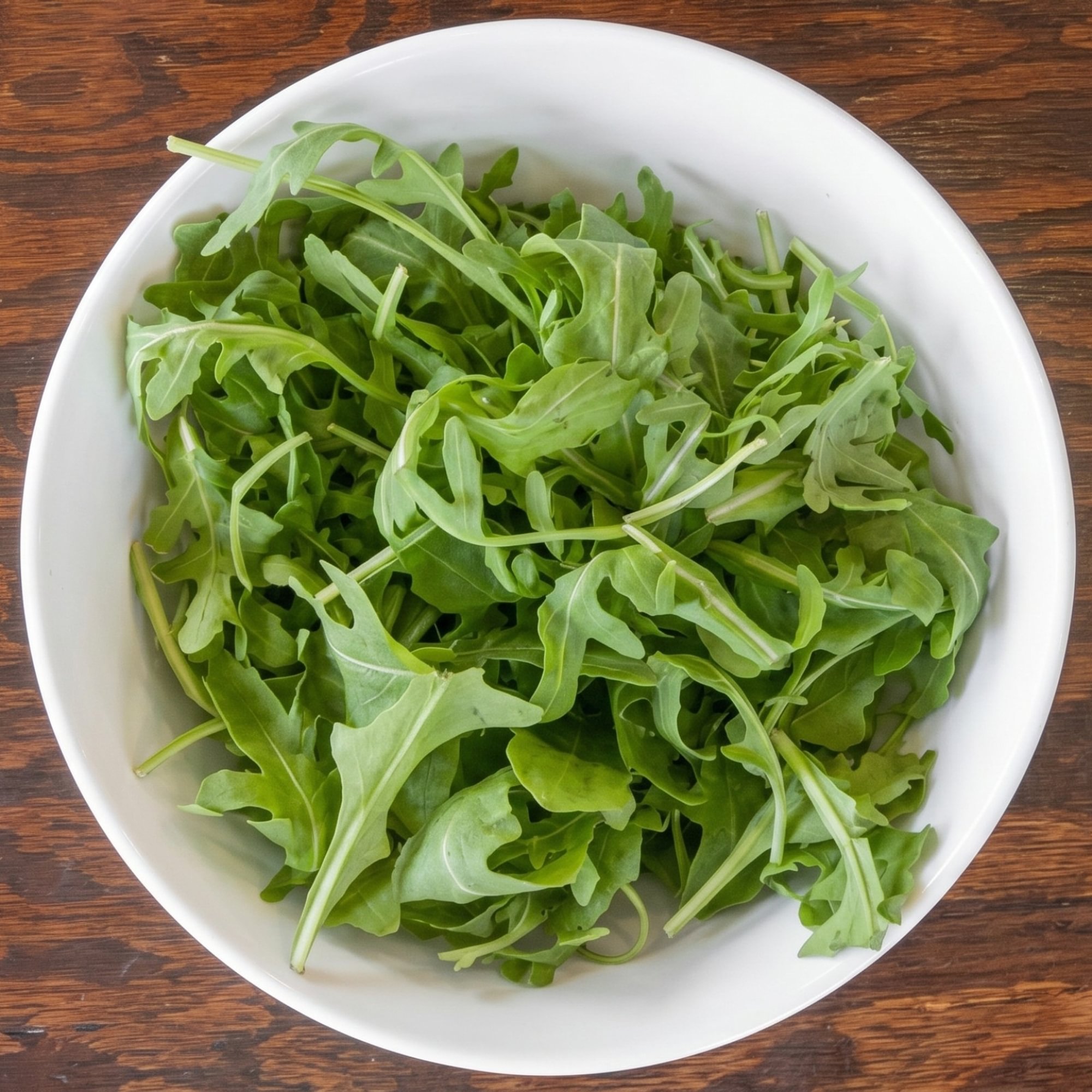 Arugula Salad (Lg)
