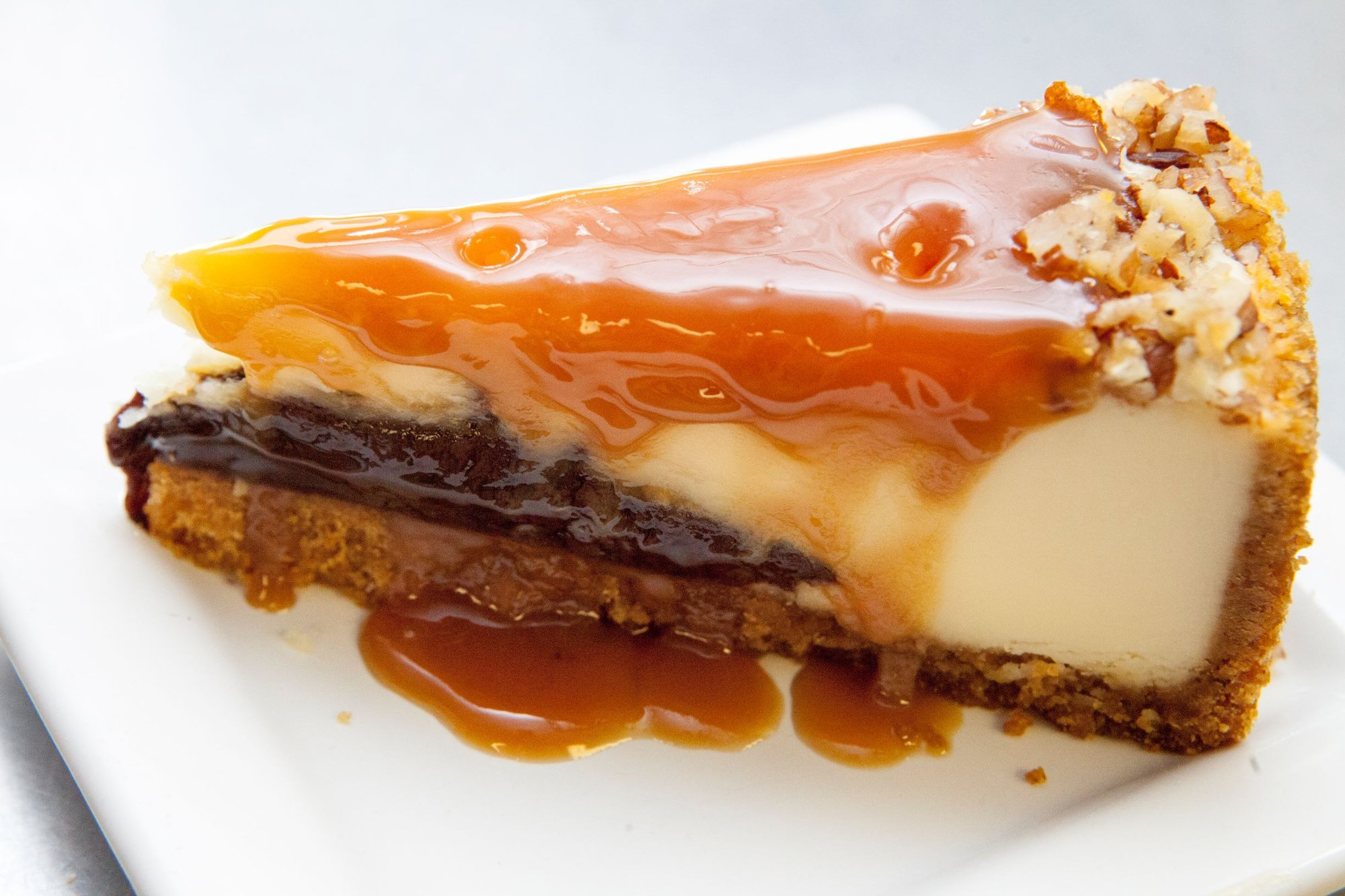 Turtle Cheesecake