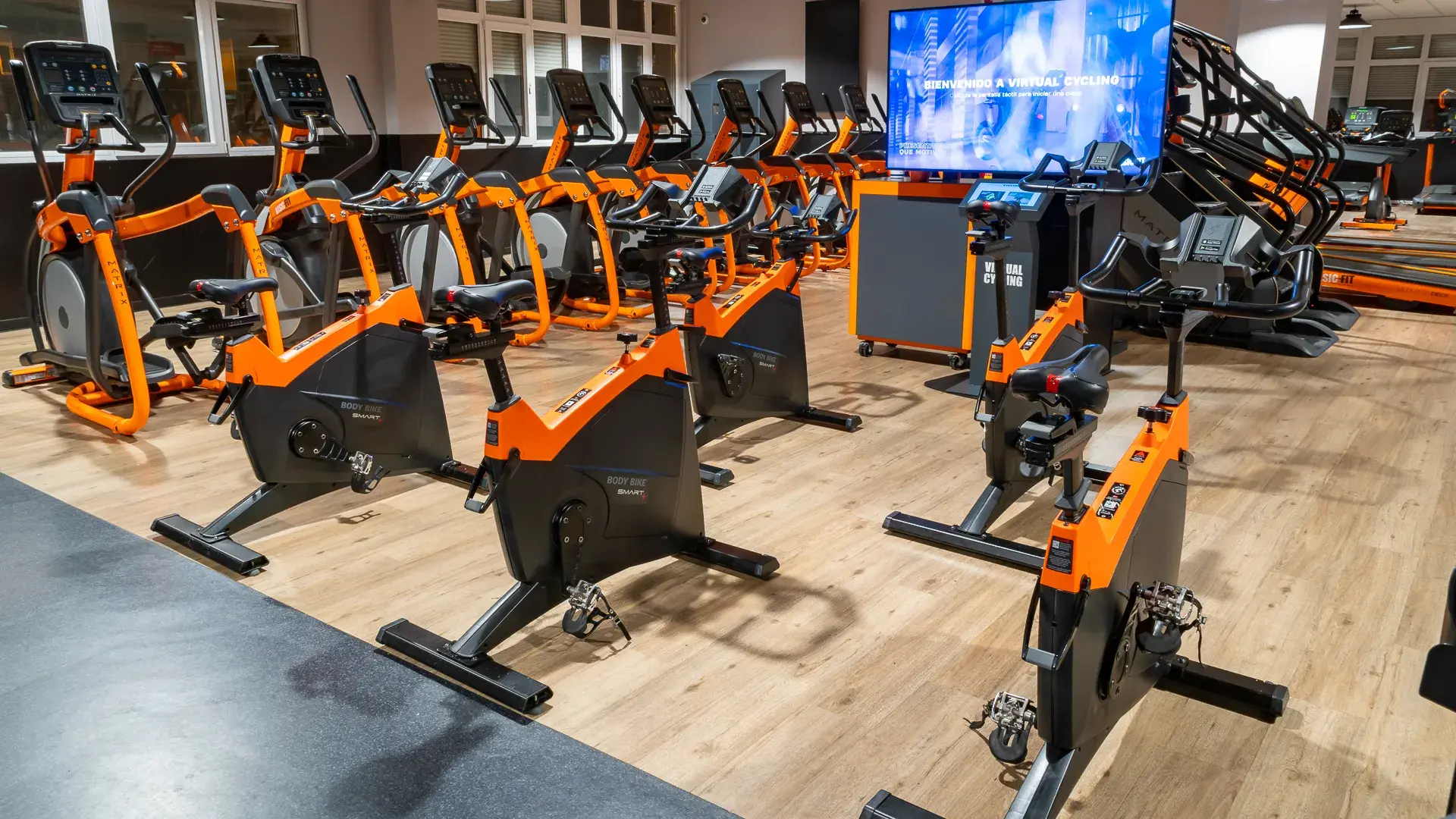 Galería en miniatura