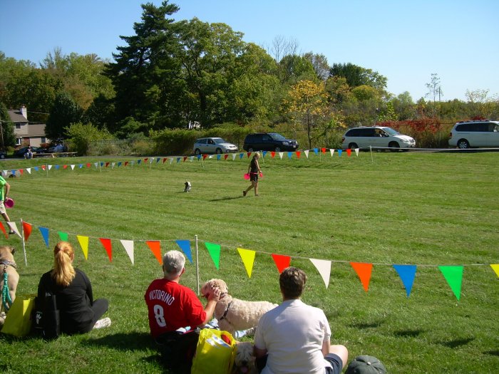 VCA Neshaminy Animal Hospital Photo