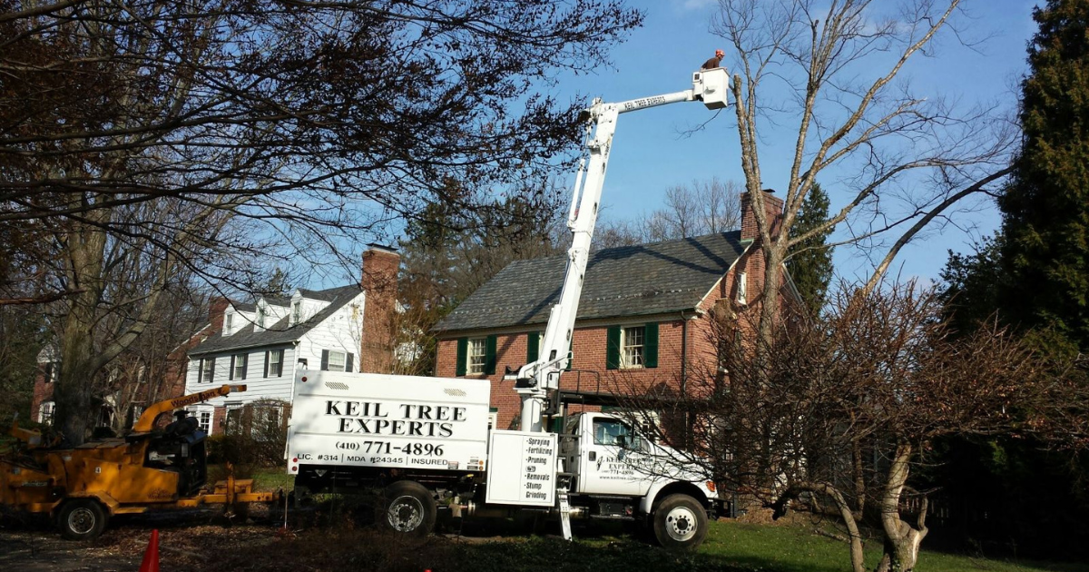 Keil Tree Experts Inc Image