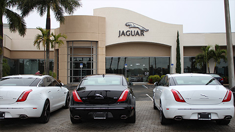 Jaguar Fort Myers Photo