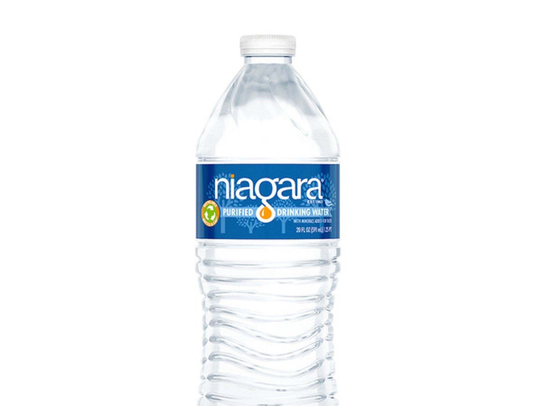 Water Bottle