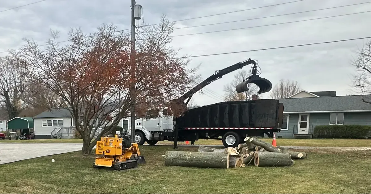 Premier Tree & Landscaping Image