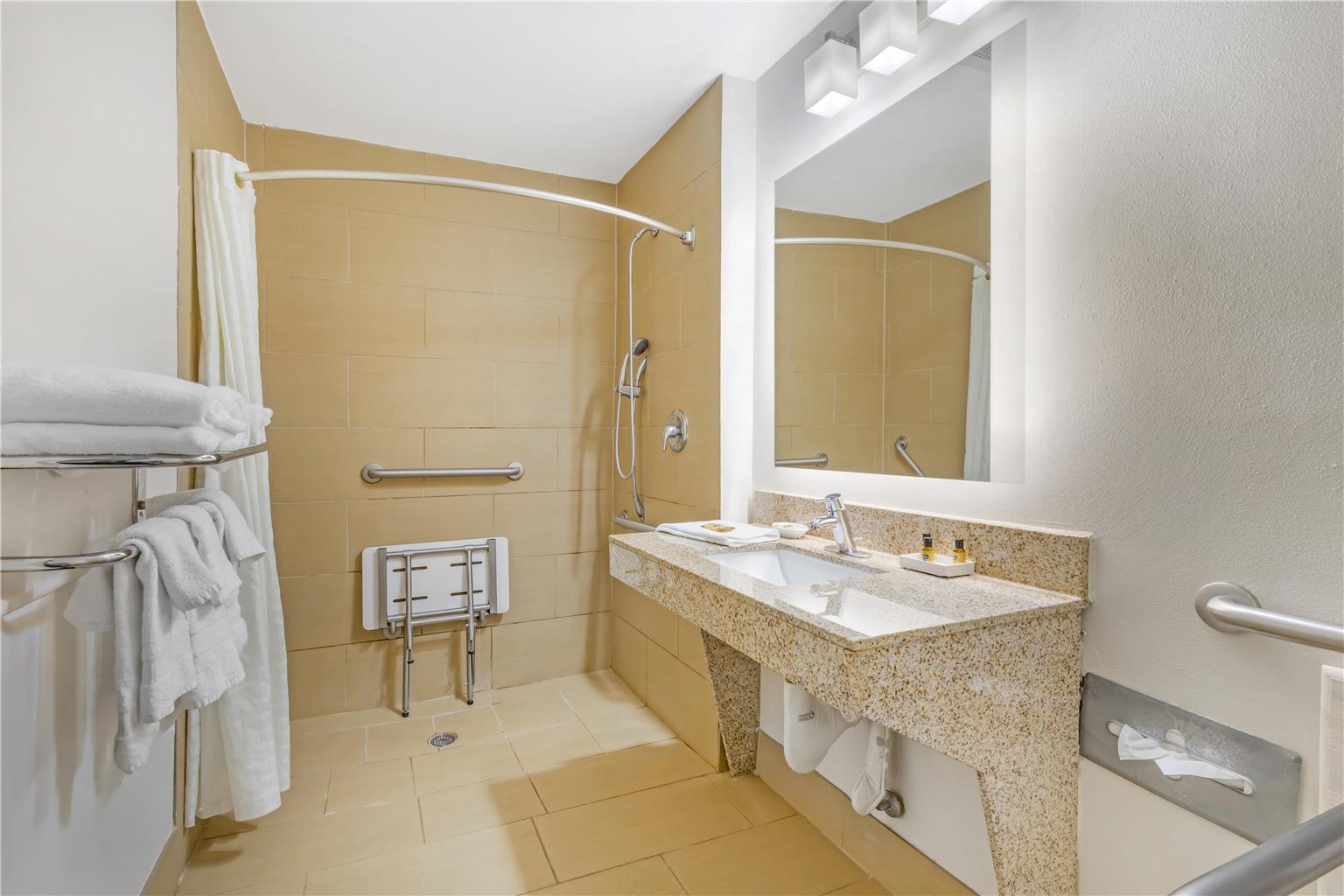 Best Western Plus McDonough Inn & Suites Image