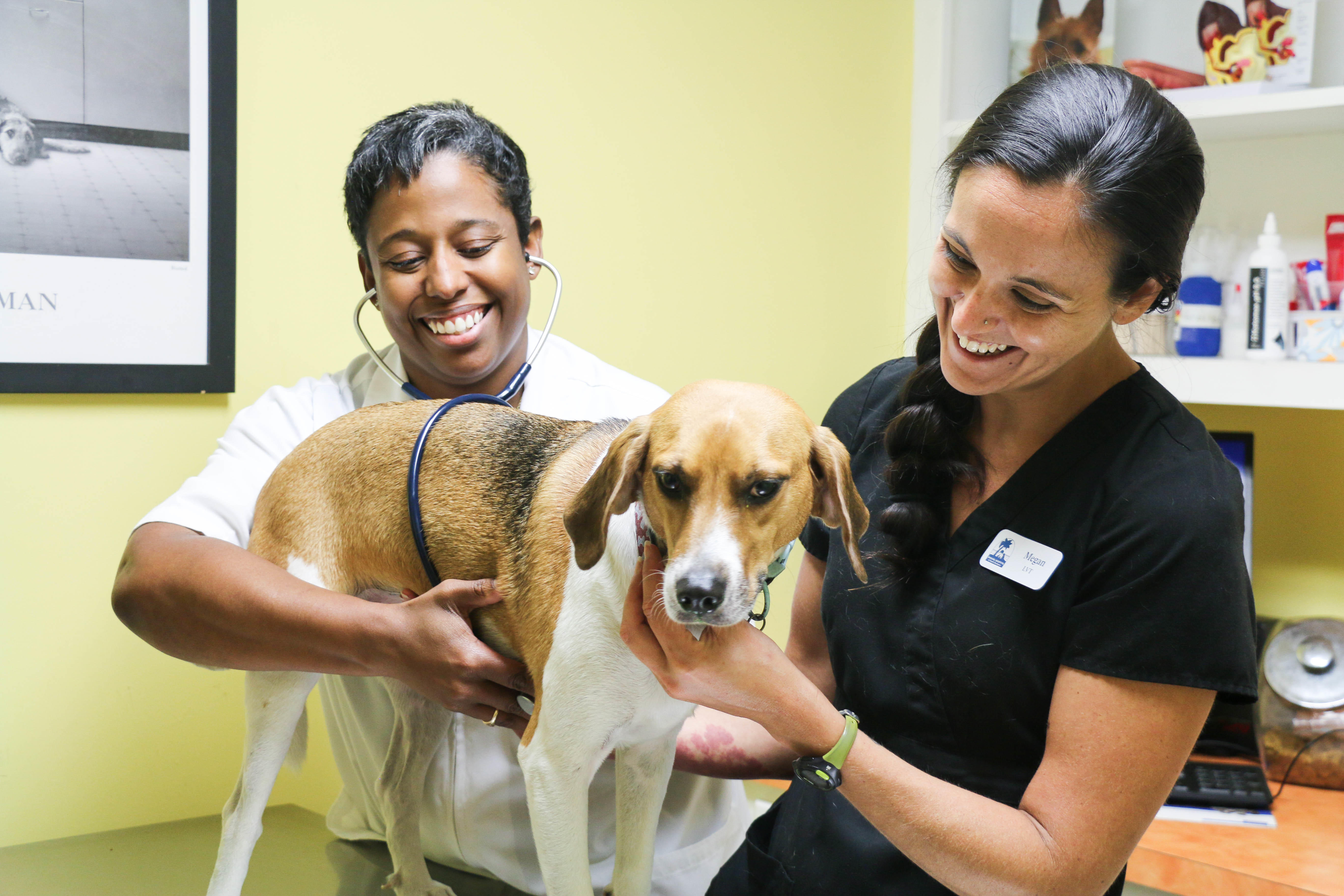 The Animal Hospital of North Charleston Photo