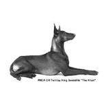 Beltara Kennels AKC REG