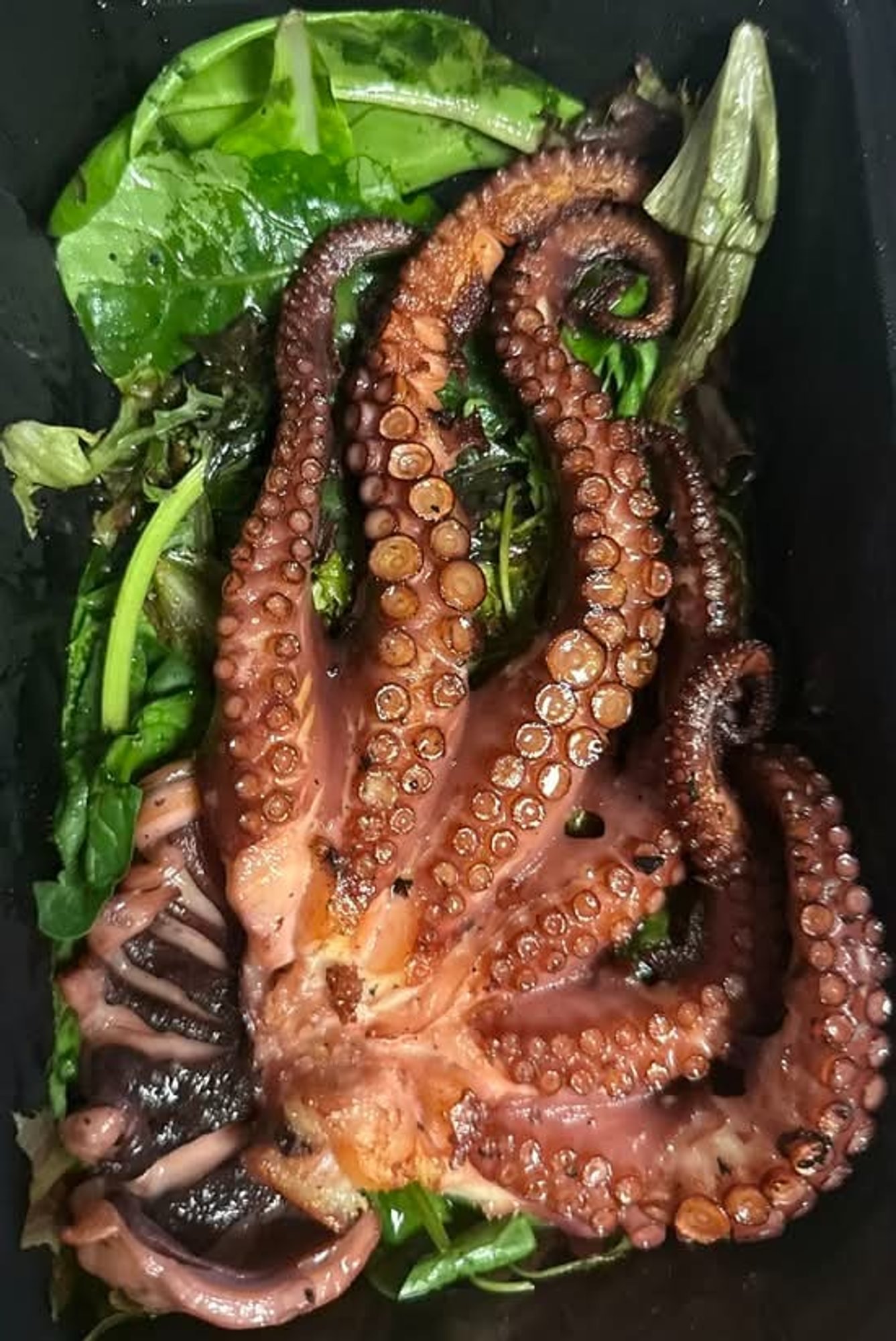 Grilled Octopus
