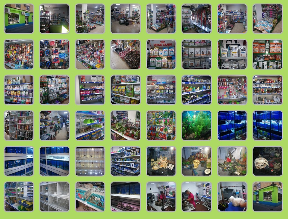 Galería en miniatura