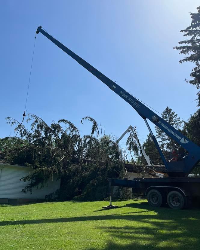 Specialty Tree & Bucket Service Image