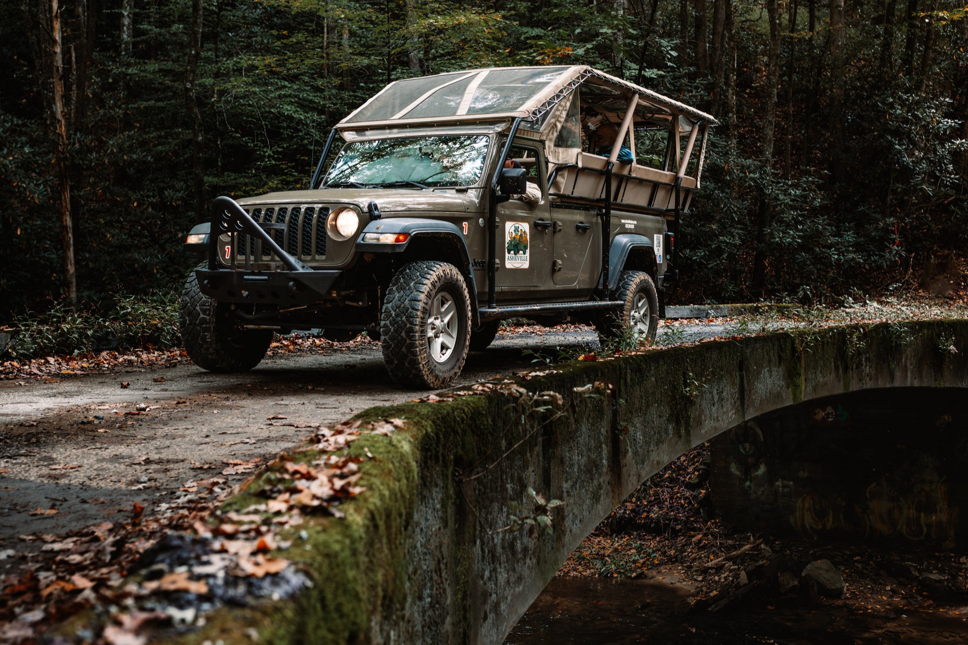 Asheville Tours & Excursions
