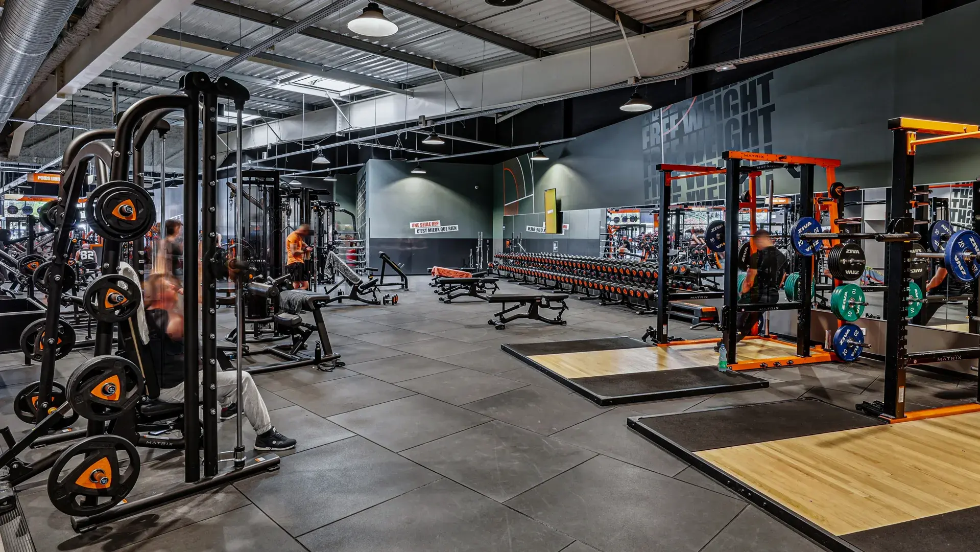 Miniature de la galerie