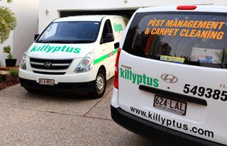 Foto de Killyptus Carpet Cleaning & Pest Management