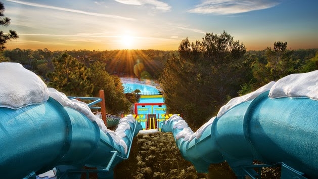 Disney's Blizzard Beach Water Park Photo