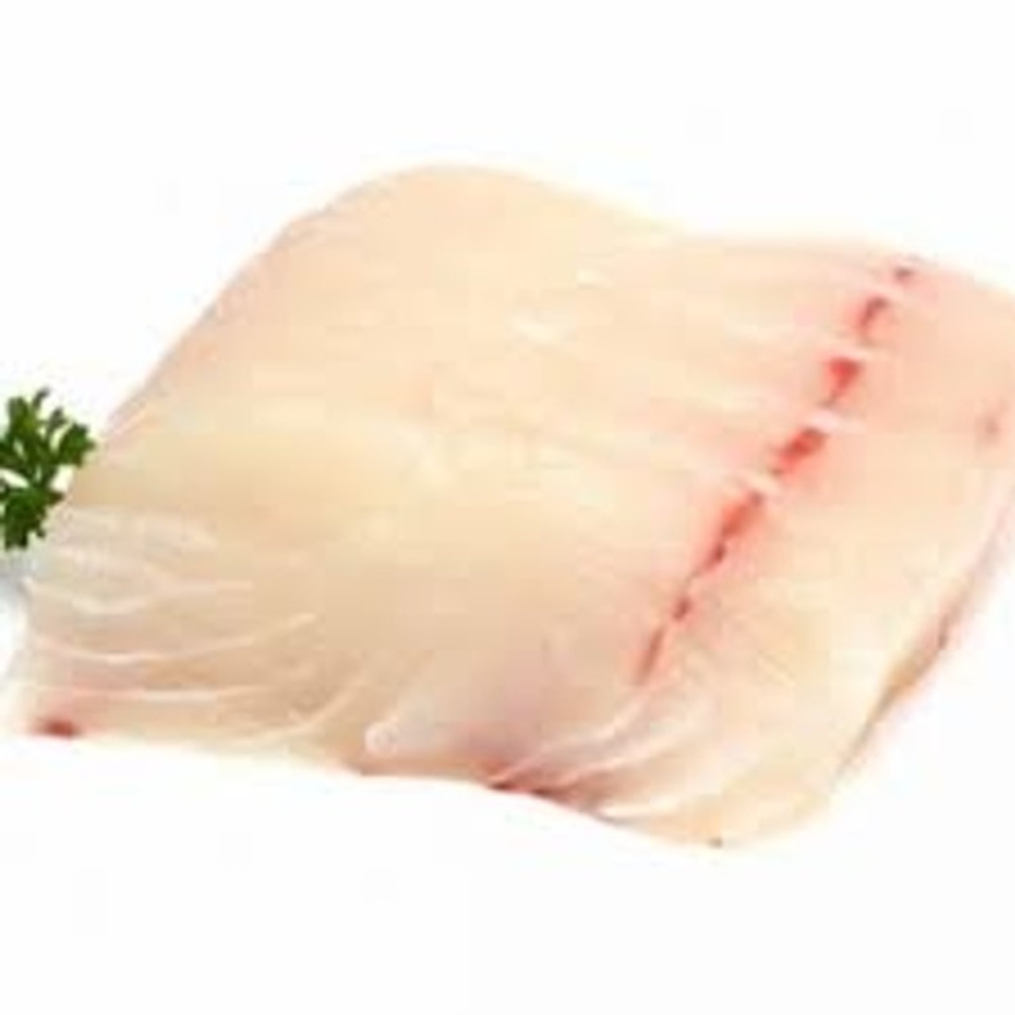 Halibut