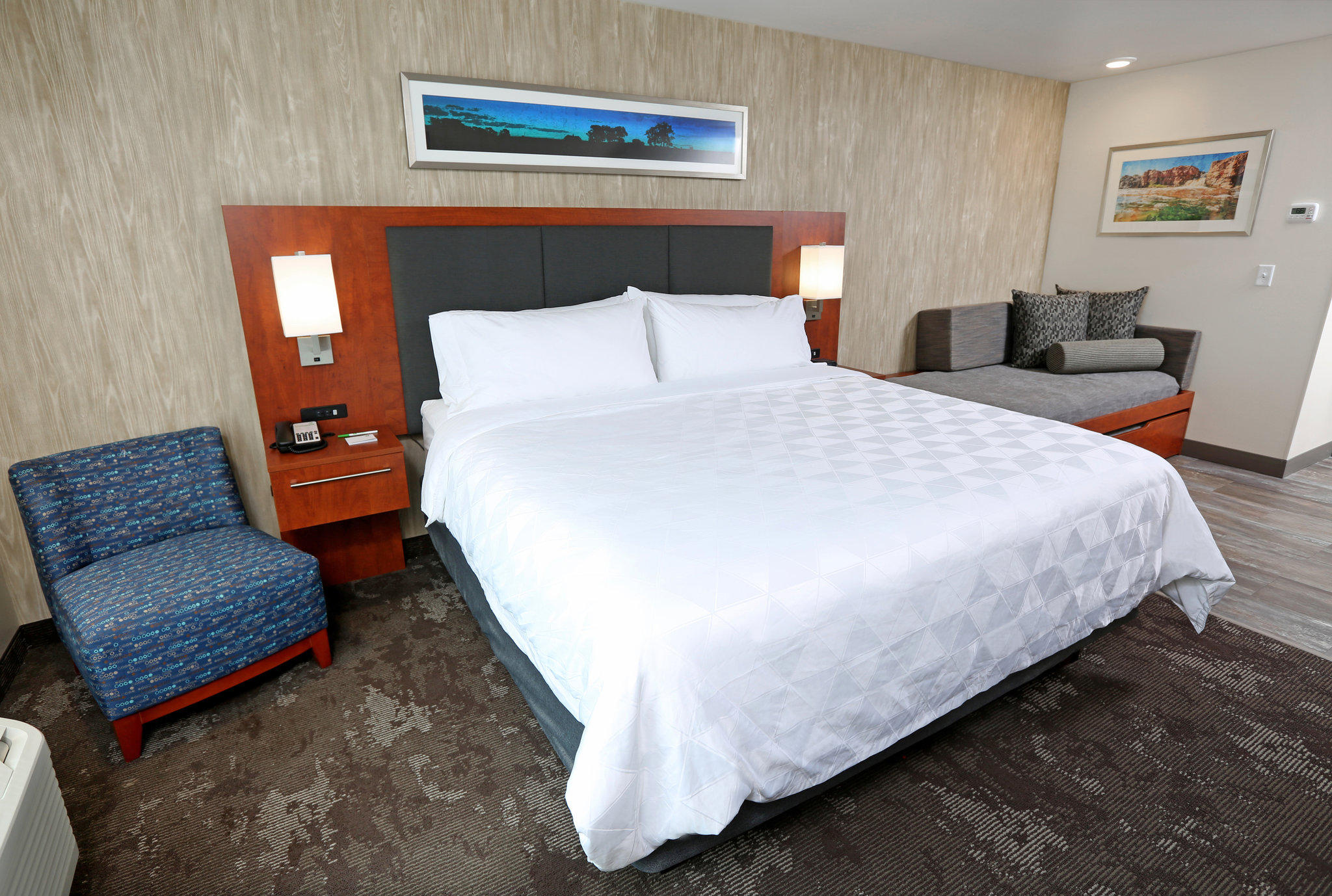 Holiday Inn & Suites Sioux Falls - Airport Photo