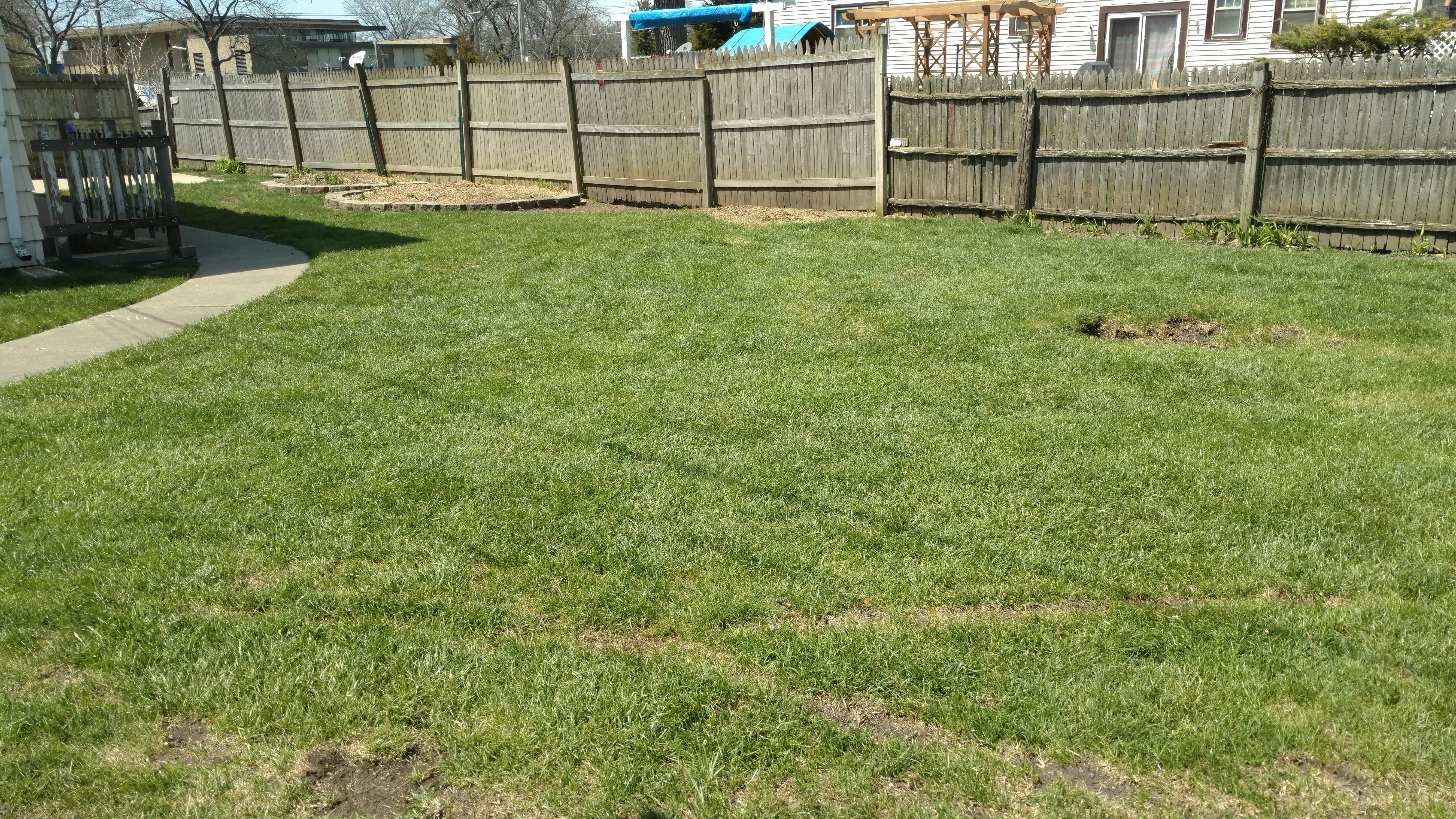 New Beginning Tree Service Company Image