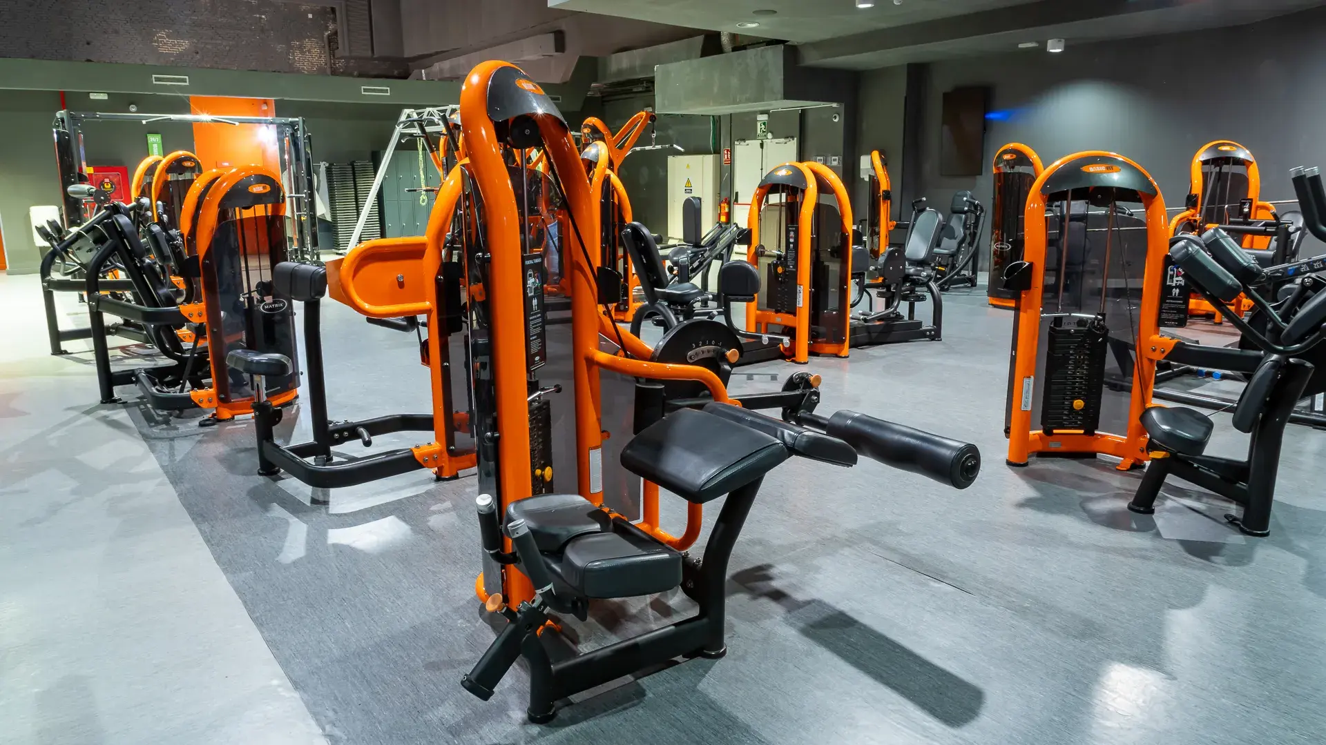 Galería en miniatura