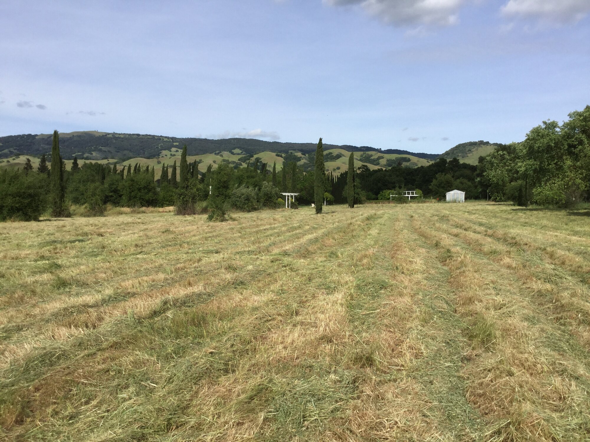 SOUTH COUNTY MOWING &amp; DISCING Logo