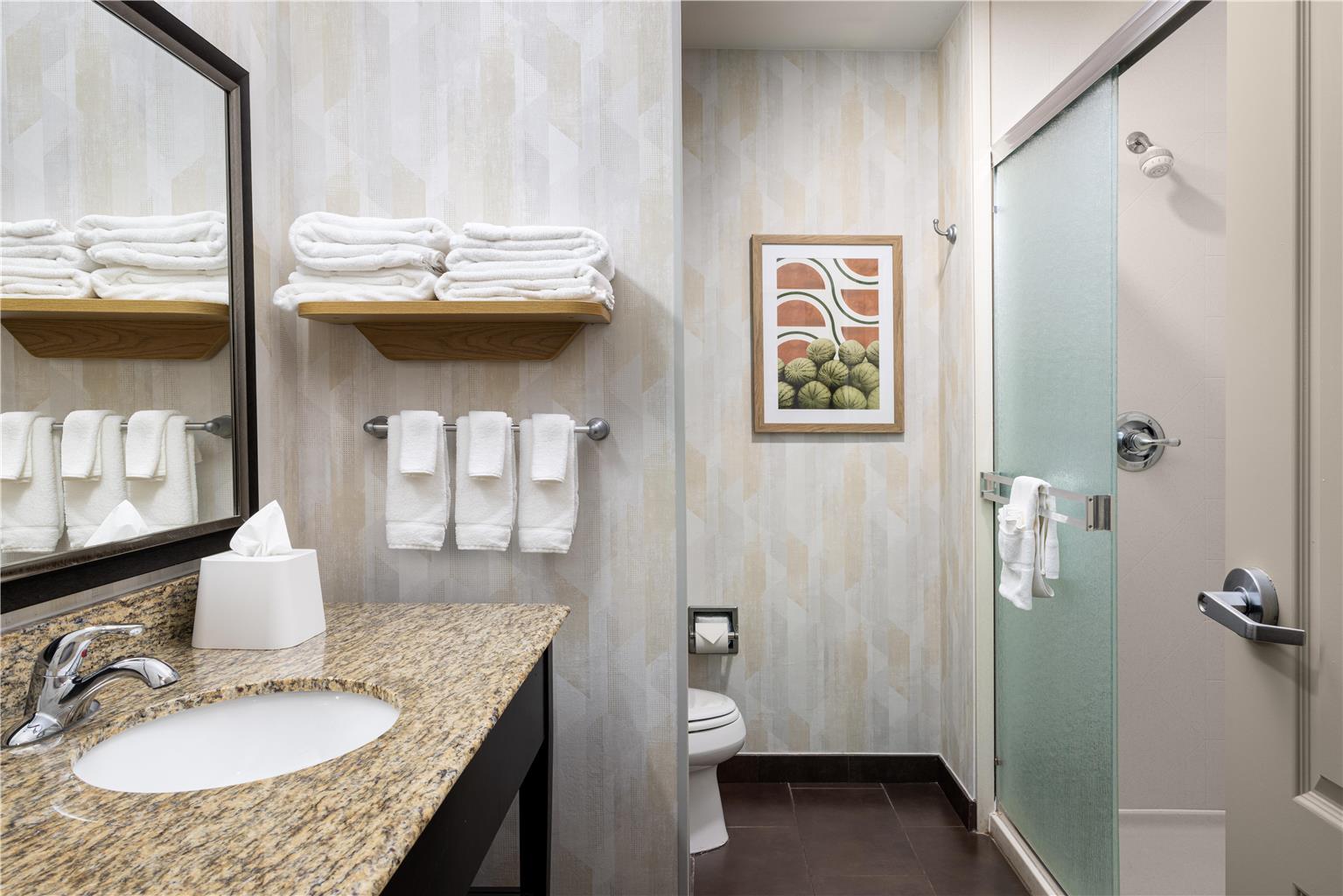 Hampton Inn & Suites Hope Image