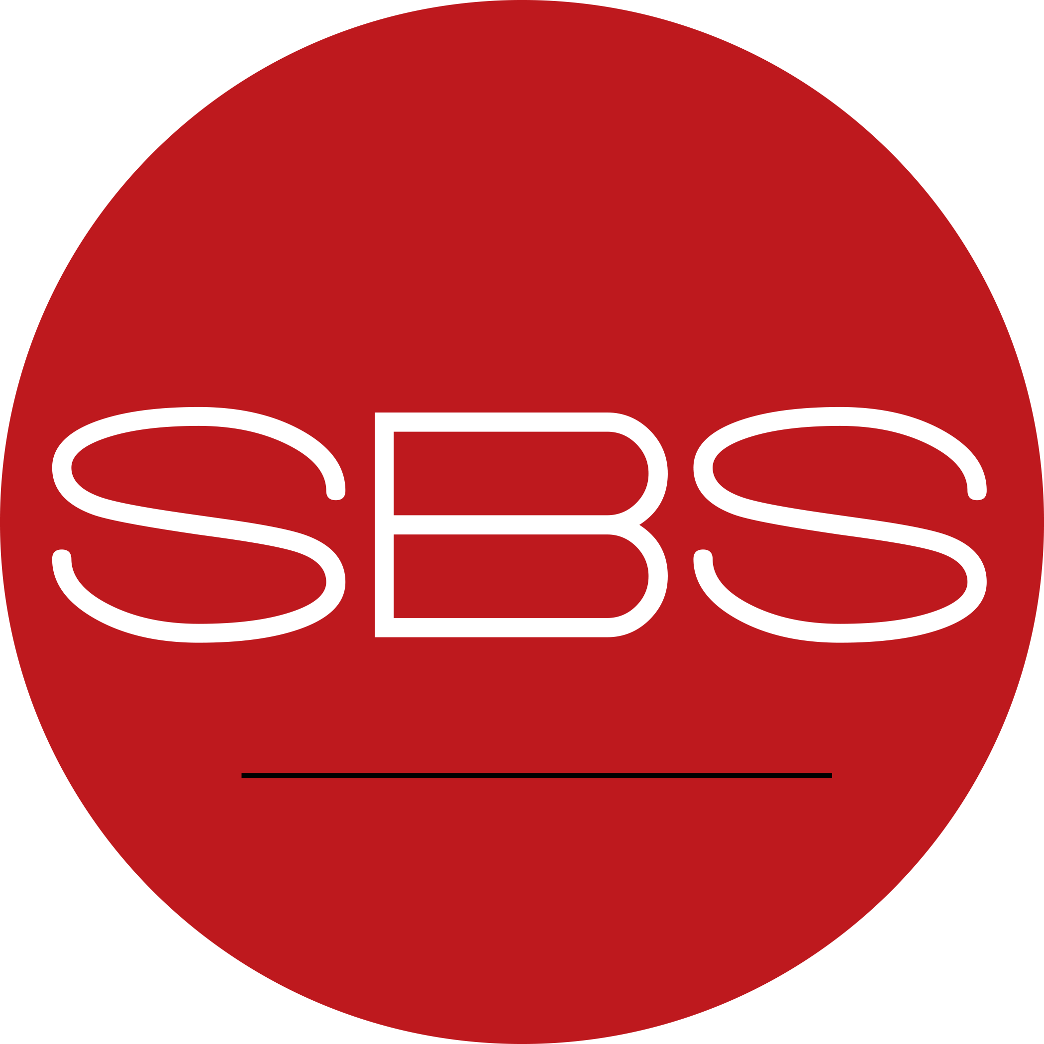 Streamlined Business Solutions Logo