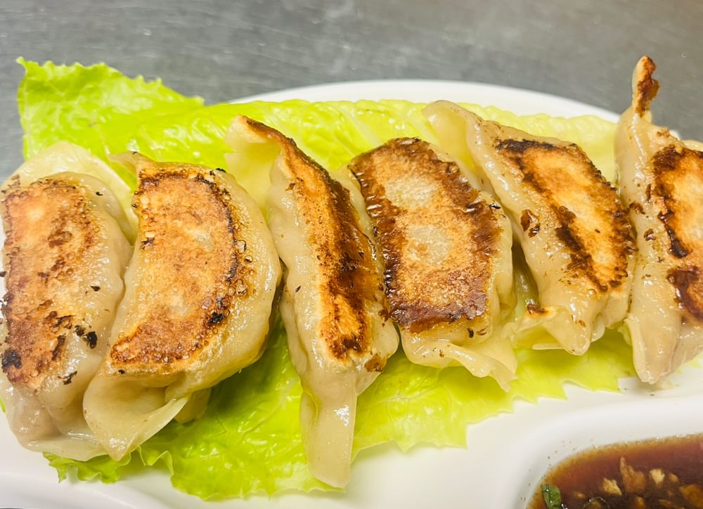 Gyoza Dumplings