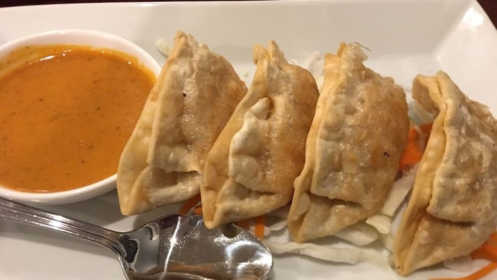 Curry Potsticker (4)