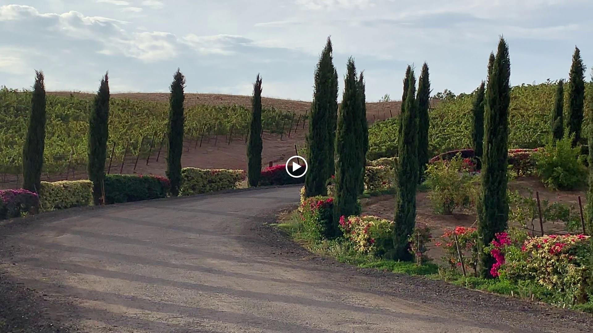 Granite Lion Cellars Image