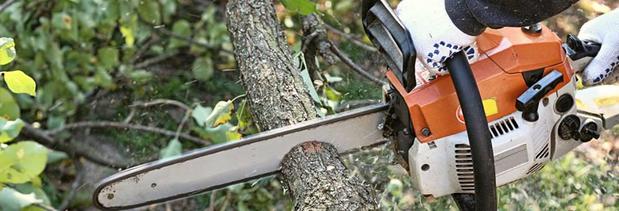 Images Northeast Tree Service LLC
