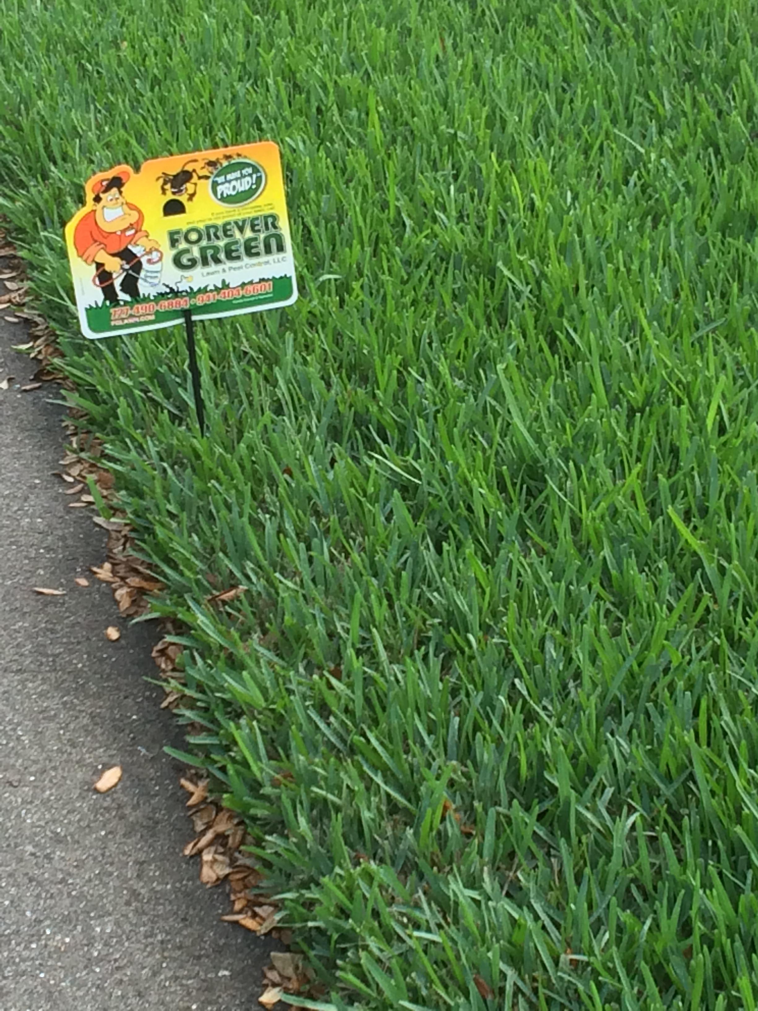 Forever Green Lawn and Pest Control Image