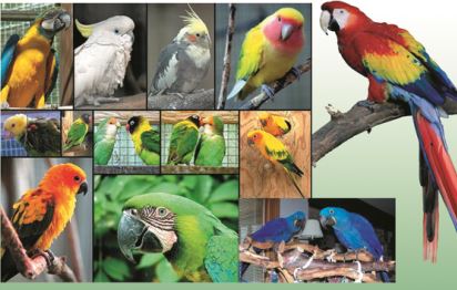 Gallery thumbnail