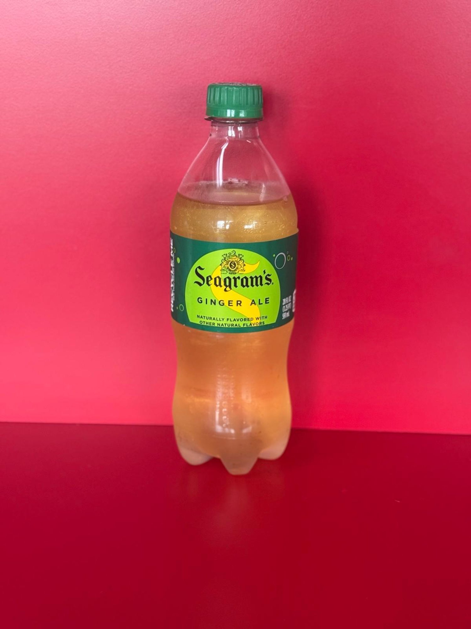 Ginger Ale 20oz