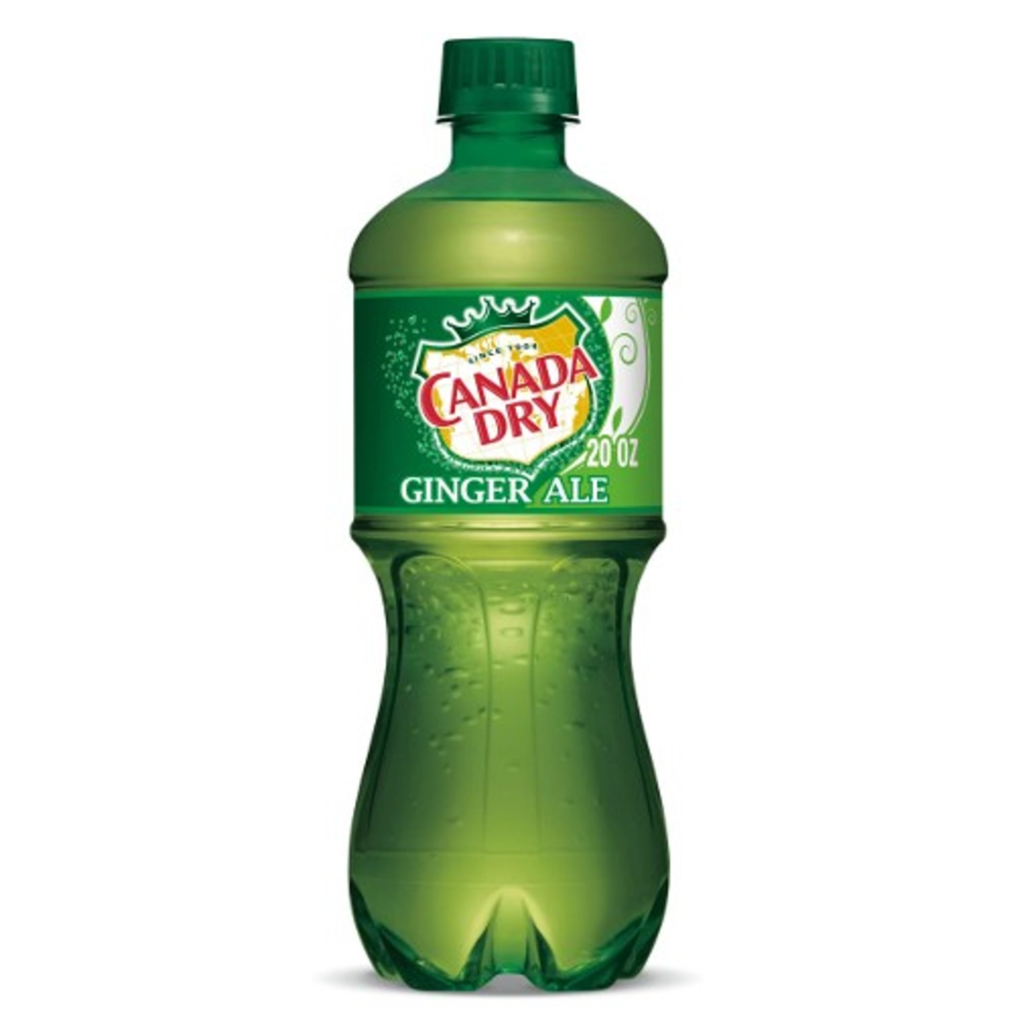 20oz Ginger Ale