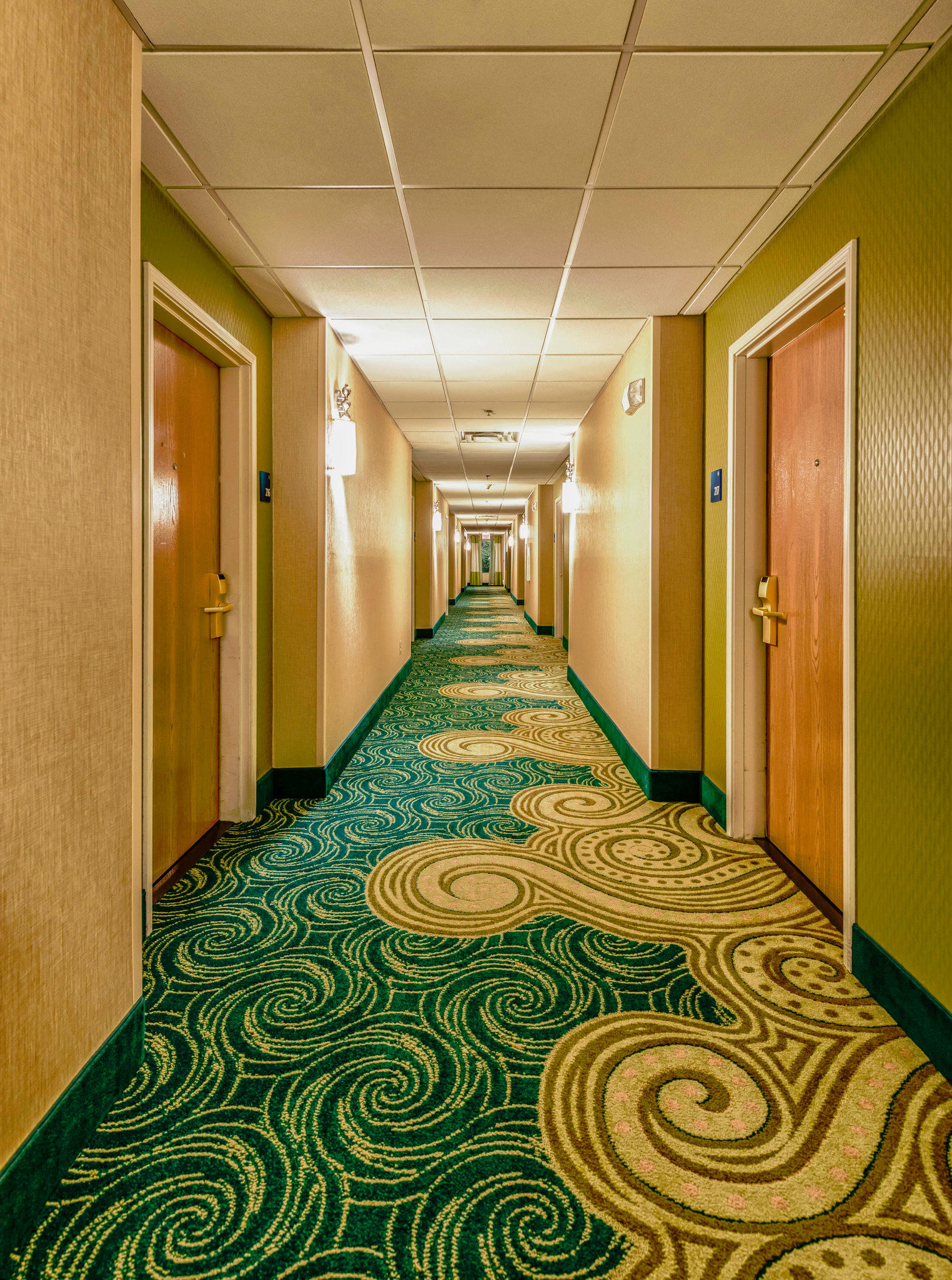 Holiday Inn Express & Suites Jacksonville - Blount Island Photo