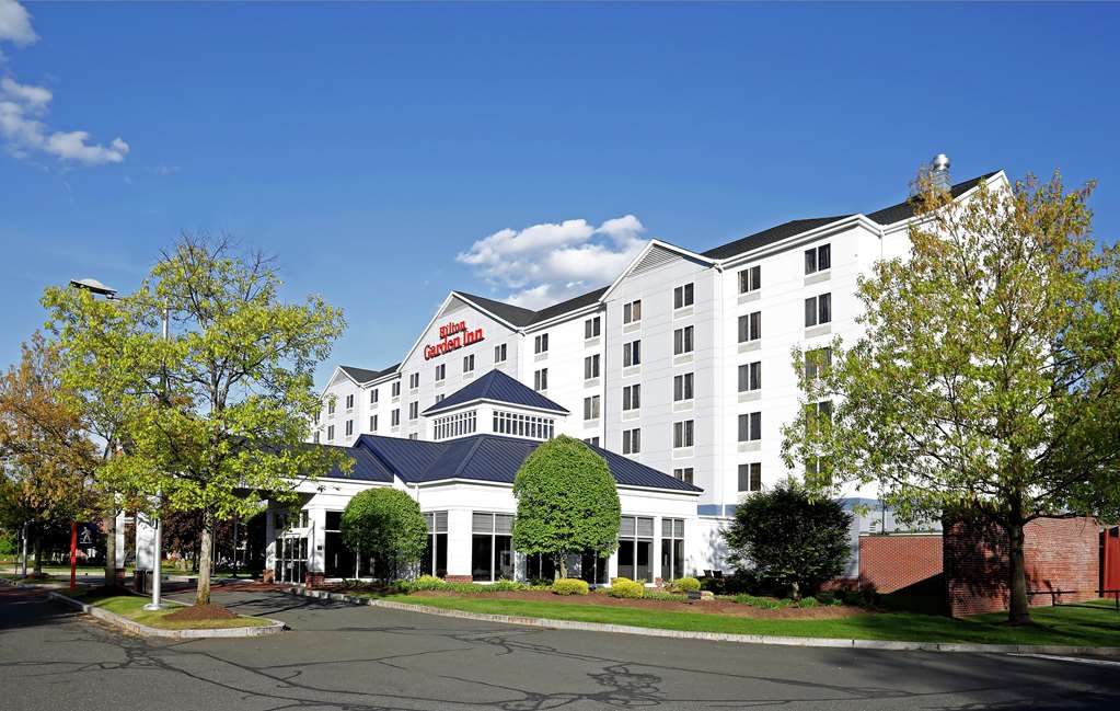 Hilton Garden Inn Springfield, MA Logo