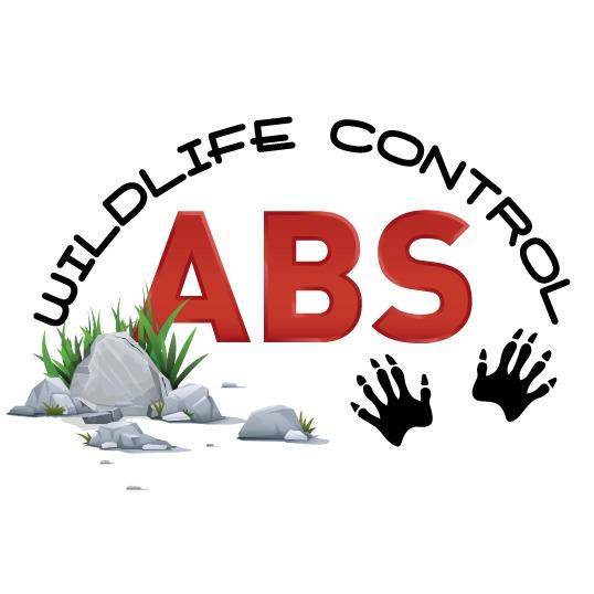 A.B.S. Wildlife Control Logo