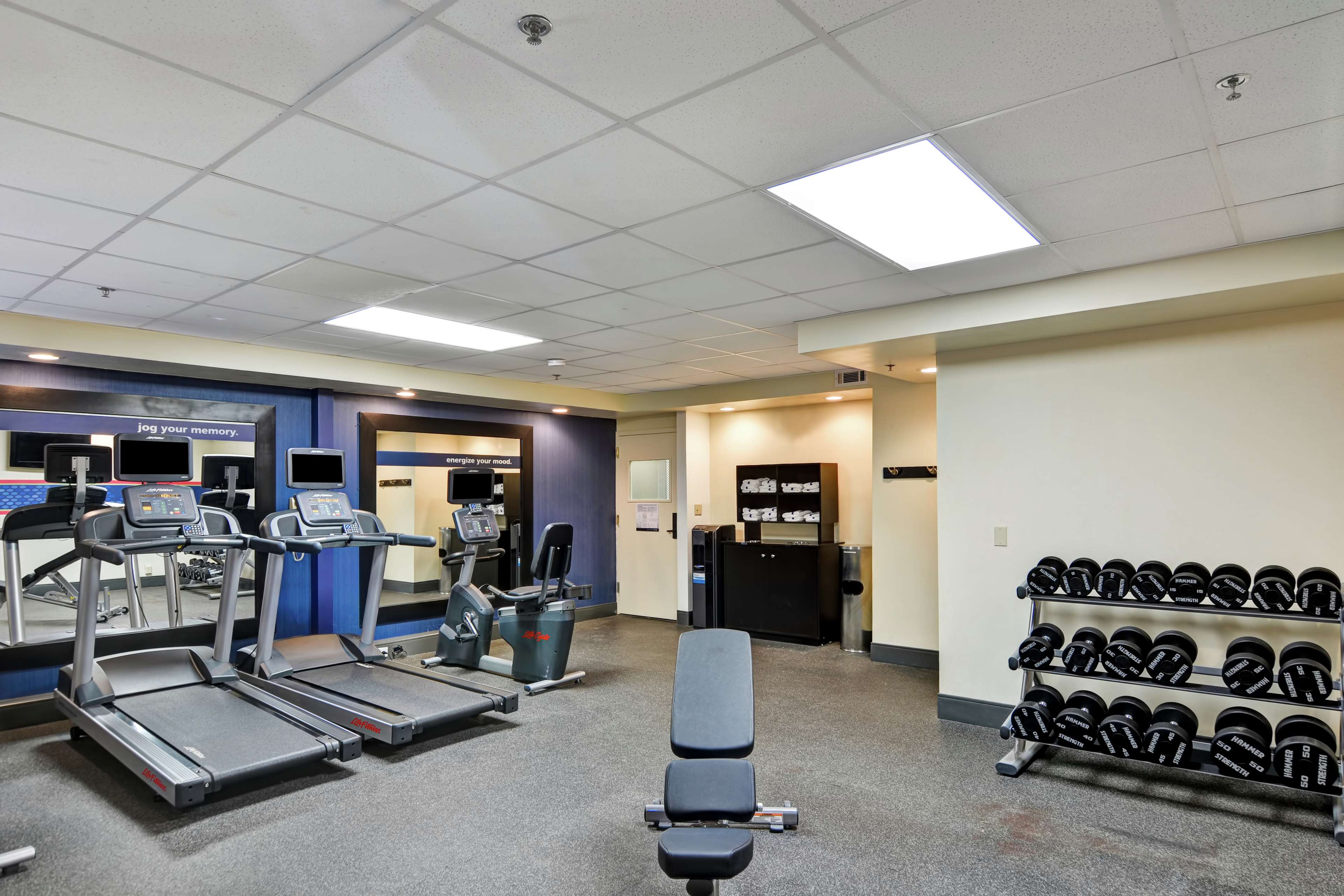 Health club  fitness center  gym