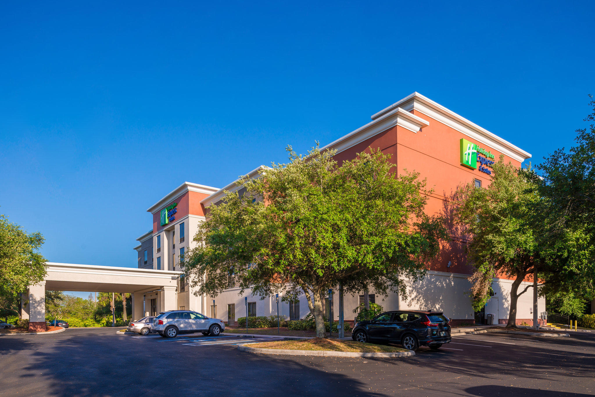 Holiday Inn Express & Suites Tampa-Anderson Rd/Veterans Exp Photo