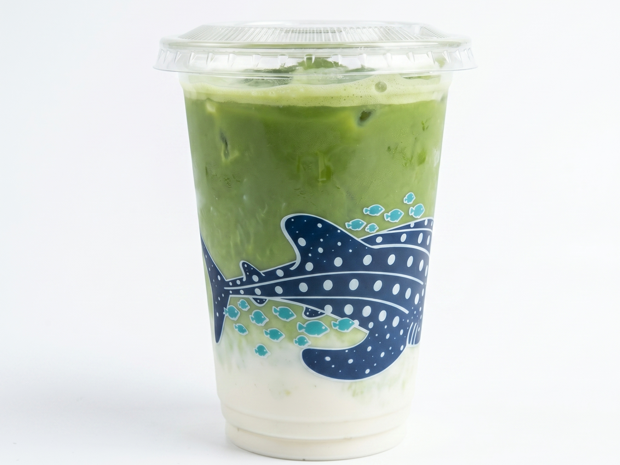 Iced Matcha Latte