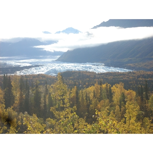 Mendeltna Creek Lodge Logo