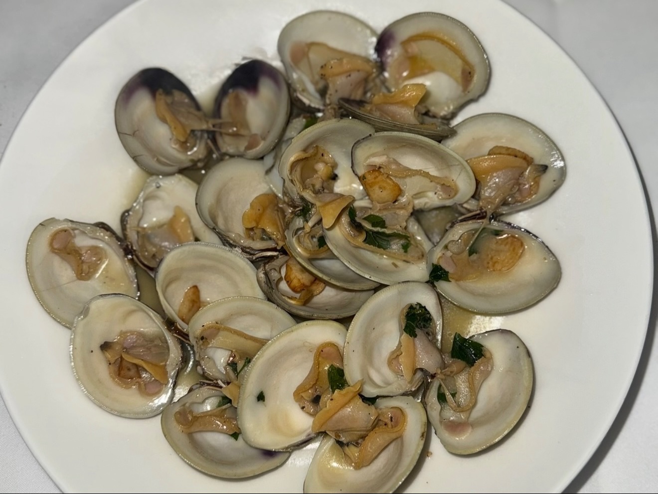 Clams Posillipo (12)