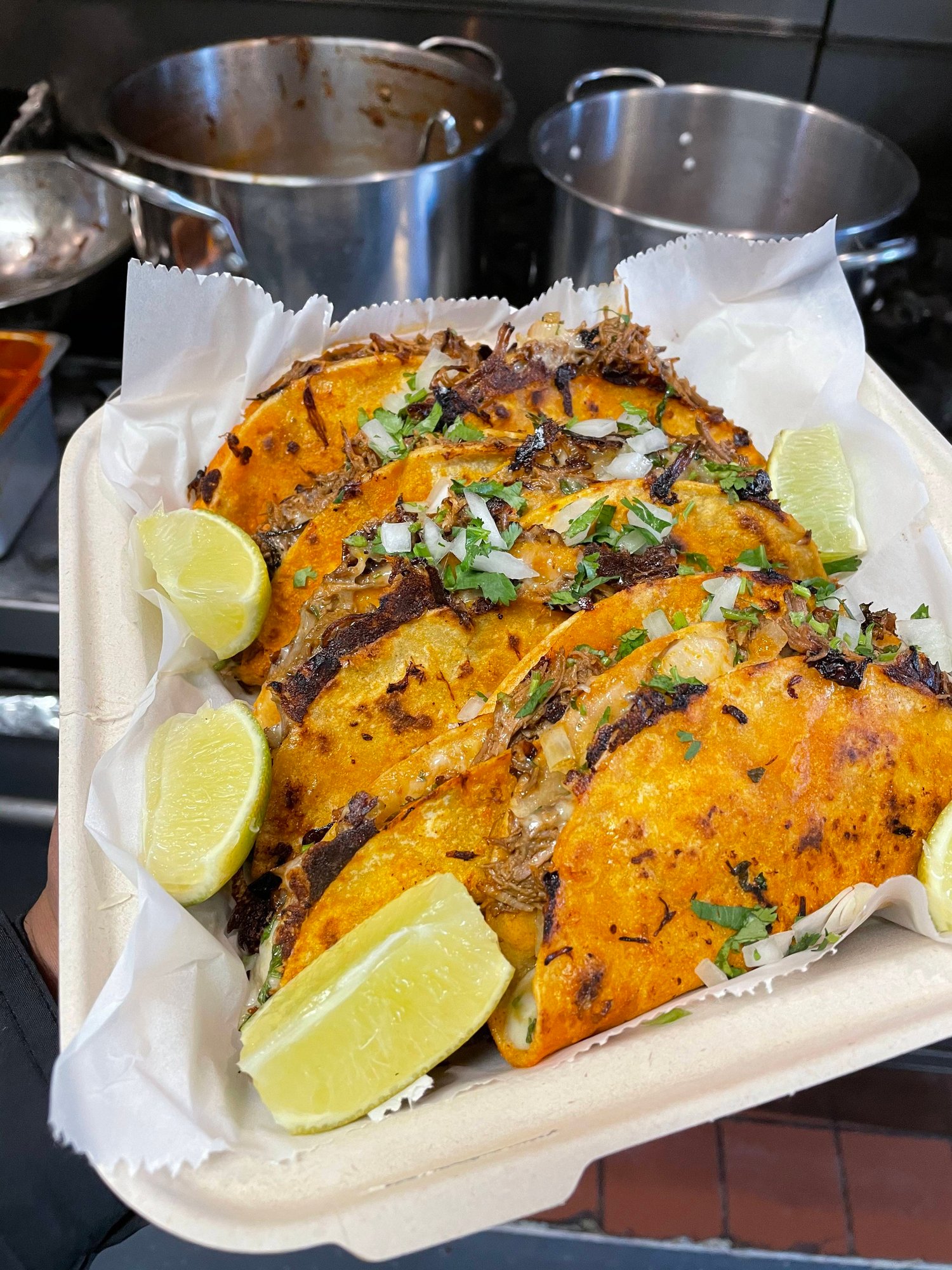 Quesabirria Cheesy Taco