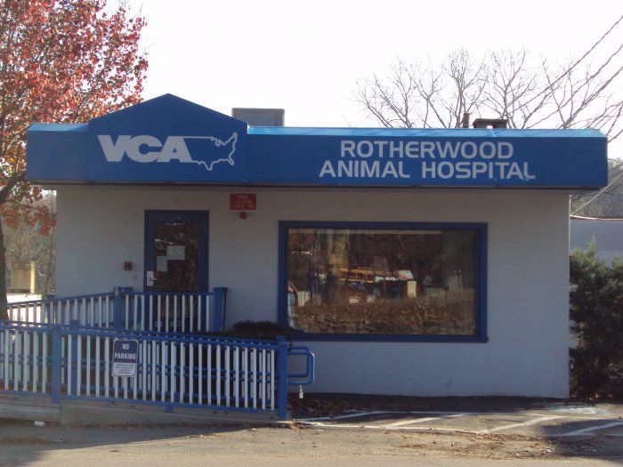 VCA Rotherwood Animal Hospital Photo