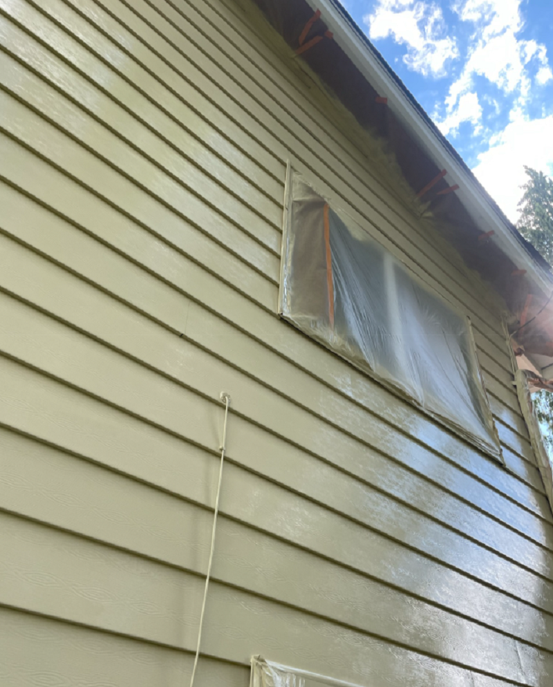 Cover Pro Painting Image