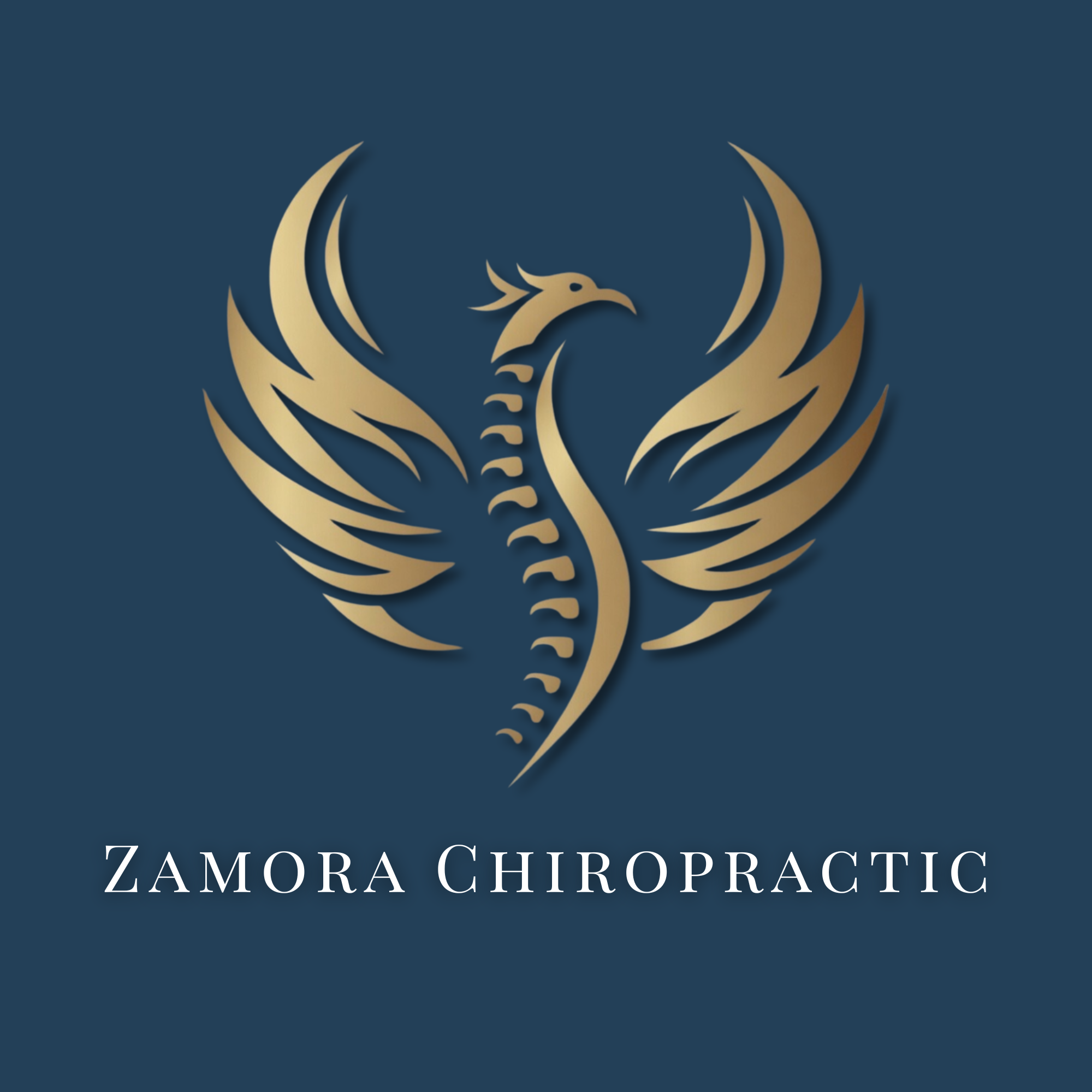 Zamora Chiropractic