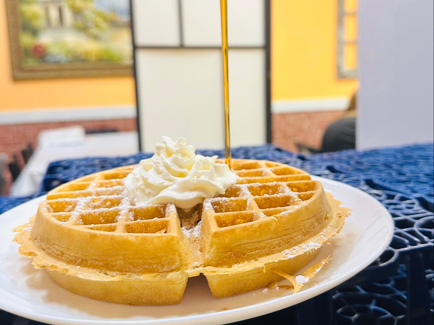 House PLAIN Waffles