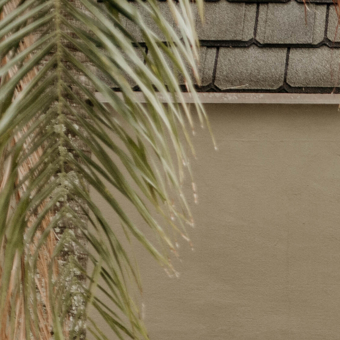 Hearts of Sage Photography Image