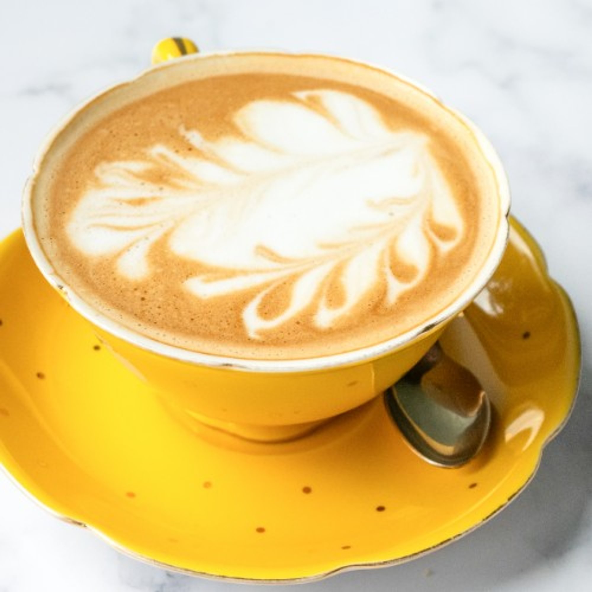 STUMPTOWN Latte